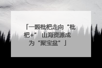 一颗枇杷走向“枇杷+” 山海资源成为“聚宝盆”