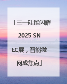 三一硅能闪耀2025 SNEC展，智能微网成焦点