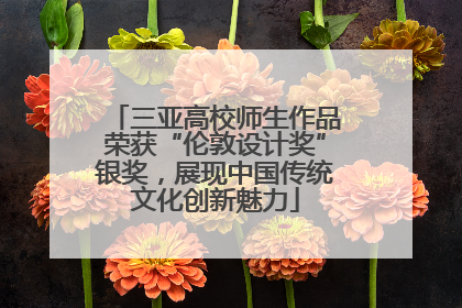 三亚高校师生作品荣获“伦敦设计奖”银奖，展现中国传统文化创新魅力