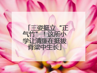 三姿挺立“正气竹”！这所小学让清廉在挺拔脊梁中生长