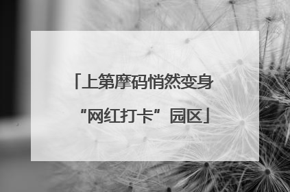 上第摩码悄然变身“网红打卡”园区