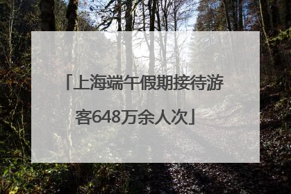 上海端午假期接待游客648万余人次