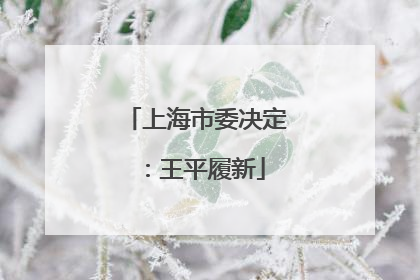 上海市委决定：王平履新