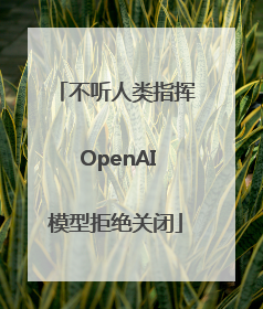 不听人类指挥 OpenAI模型拒绝关闭