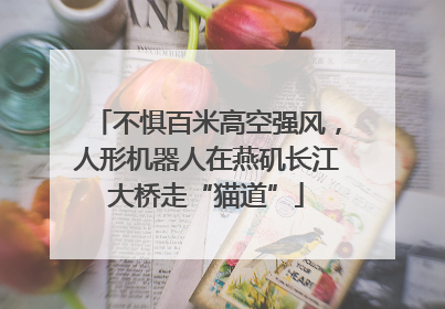 不惧百米高空强风，人形机器人在燕矶长江大桥走“猫道”