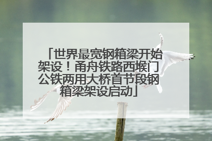 世界最宽钢箱梁开始架设！甬舟铁路西堠门公铁两用大桥首节段钢箱梁架设启动