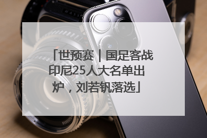 世预赛｜国足客战印尼25人大名单出炉，刘若钒落选