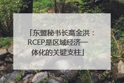 东盟秘书长高金洪：RCEP是区域经济一体化的关键支柱