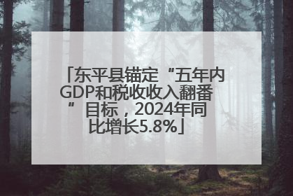 东平县锚定“五年内GDP和税收收入翻番”目标，2024年同比增长5.8%