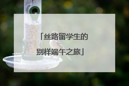 丝路留学生的别样端午之旅