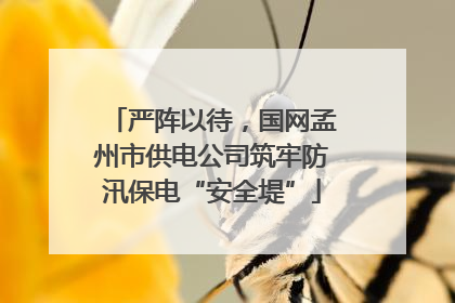 严阵以待，国网孟州市供电公司筑牢防汛保电“安全堤”