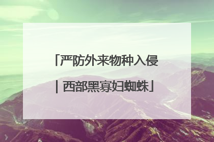 严防外来物种入侵｜西部黑寡妇蜘蛛