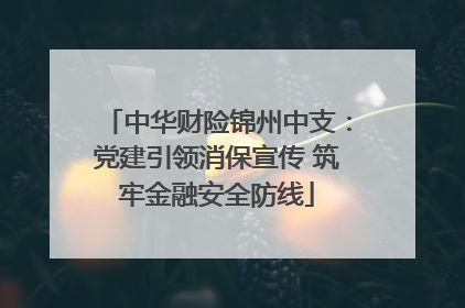 中华财险锦州中支：党建引领消保宣传 筑牢金融安全防线