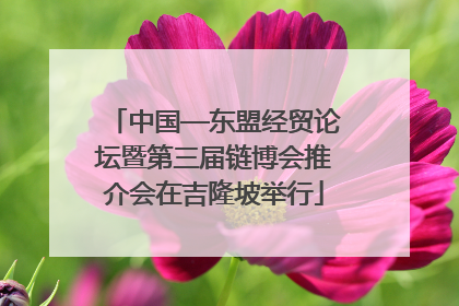 中国—东盟经贸论坛暨第三届链博会推介会在吉隆坡举行