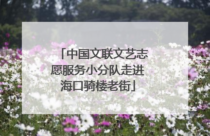 中国文联文艺志愿服务小分队走进海口骑楼老街