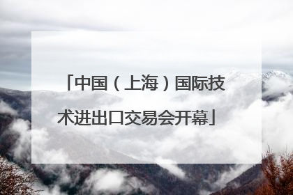 中国（上海）国际技术进出口交易会开幕