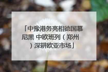 中豫港务亮相德国慕尼黑 中欧班列（郑州）深耕欧亚市场