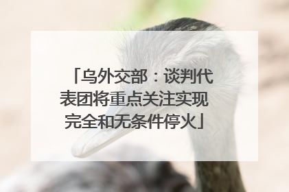 乌外交部：谈判代表团将重点关注实现完全和无条件停火