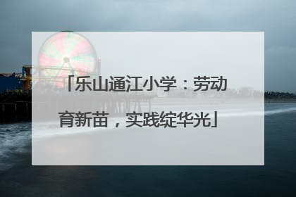 乐山通江小学：劳动育新苗，实践绽华光