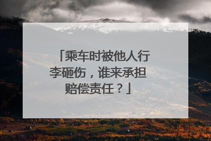 乘车时被他人行李砸伤，谁来承担赔偿责任？