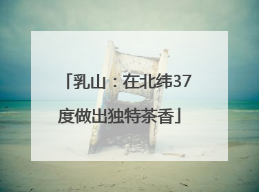 乳山：在北纬37度做出独特茶香