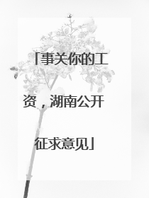 事关你的工资，湖南公开征求意见
