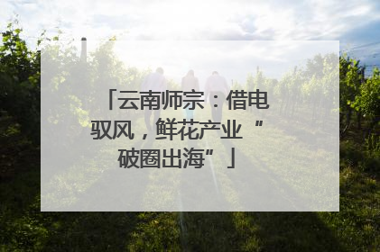 云南师宗：借电驭风，鲜花产业“破圈出海”