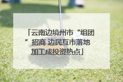 云南边境州市“组团”招商 边民互市落地加工成投资热点
