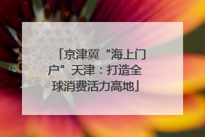 京津冀“海上门户”天津：打造全球消费活力高地