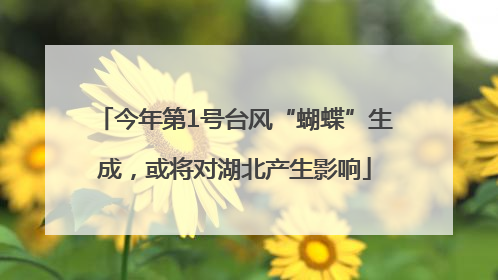 今年第1号台风“蝴蝶”生成，或将对湖北产生影响