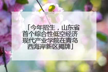 今年招生，山东省首个综合性低空经济现代产业学院在青岛西海岸新区揭牌