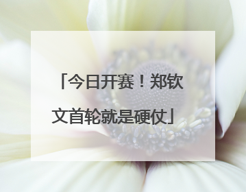 今日开赛！郑钦文首轮就是硬仗