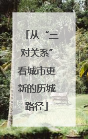 从“三对关系”看城市更新的历城路径