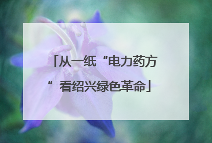 从一纸“电力药方”看绍兴绿色革命