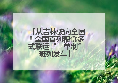 从吉林驶向全国！全国首列粮食多式联运“一单制”班列发车