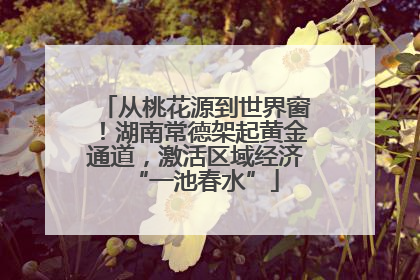 从桃花源到世界窗！湖南常德架起黄金通道，激活区域经济“一池春水”
