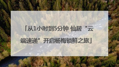 从1小时到5分钟 仙居“云端速递”开启杨梅锁鲜之旅