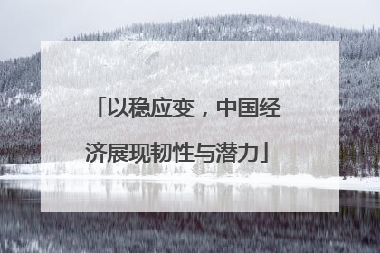 以稳应变，中国经济展现韧性与潜力