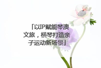 以IP赋能琴澳文旅，横琴打造亲子运动新场景