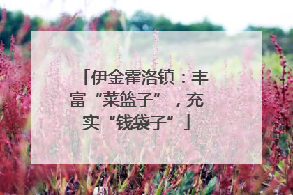 伊金霍洛镇：丰富“菜篮子”，充实“钱袋子”