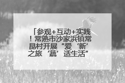 参观+互动+实践！常熟市沙家浜镇常昆村开展“爱‘新’之旅‘蔬’适生活”参观学习活动