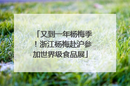 又到一年杨梅季！浙江杨梅赴沪参加世界级食品展