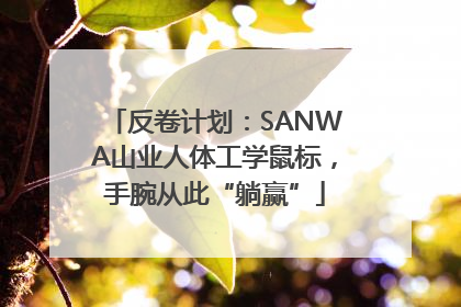 反卷计划：SANWA山业人体工学鼠标，手腕从此“躺赢”
