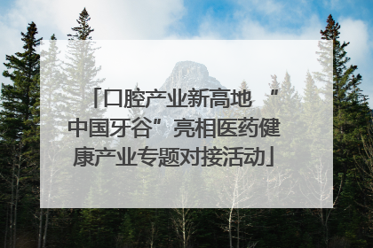 口腔产业新高地 “中国牙谷”亮相医药健康产业专题对接活动