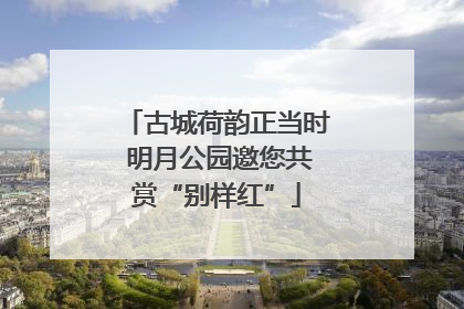 古城荷韵正当时 明月公园邀您共赏“别样红”