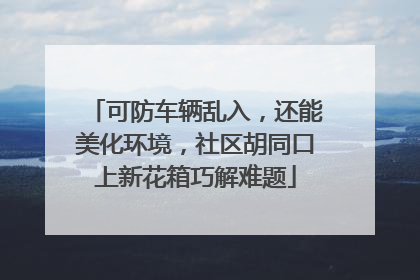 可防车辆乱入，还能美化环境，社区胡同口上新花箱巧解难题