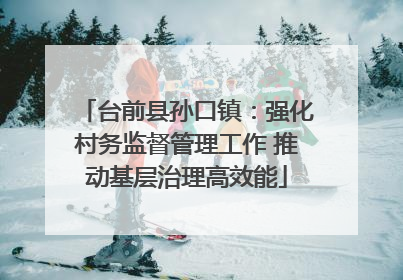 台前县孙口镇：强化村务监督管理工作 推动基层治理高效能