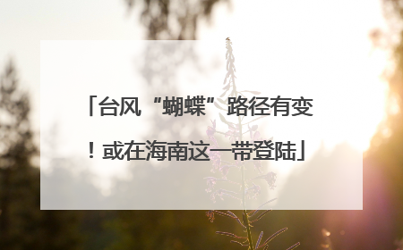 台风“蝴蝶”路径有变！或在海南这一带登陆