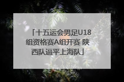 十五运会男足U18组资格赛A组开赛 陕西队逼平上海队