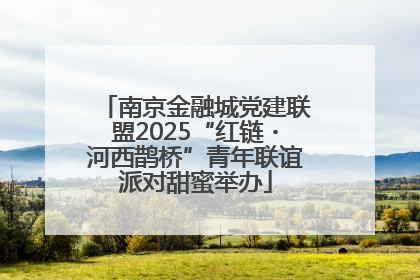南京金融城党建联盟2025“红链・河西鹊桥”青年联谊派对甜蜜举办